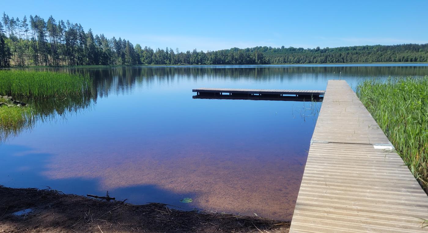 En brygga ligger över en stilla skogssjö