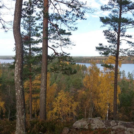 Vacker utsikt från Drags Udde.