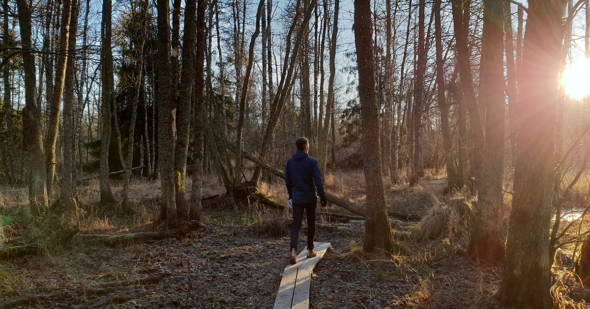 En ny naturstig har anlagts i Illharjen för att göra området mer tillgängligt.