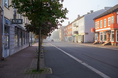 Gata i stadsmiljö, träd, väg och hus